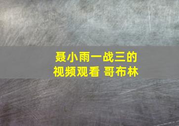 聂小雨一战三的视频观看 哥布林